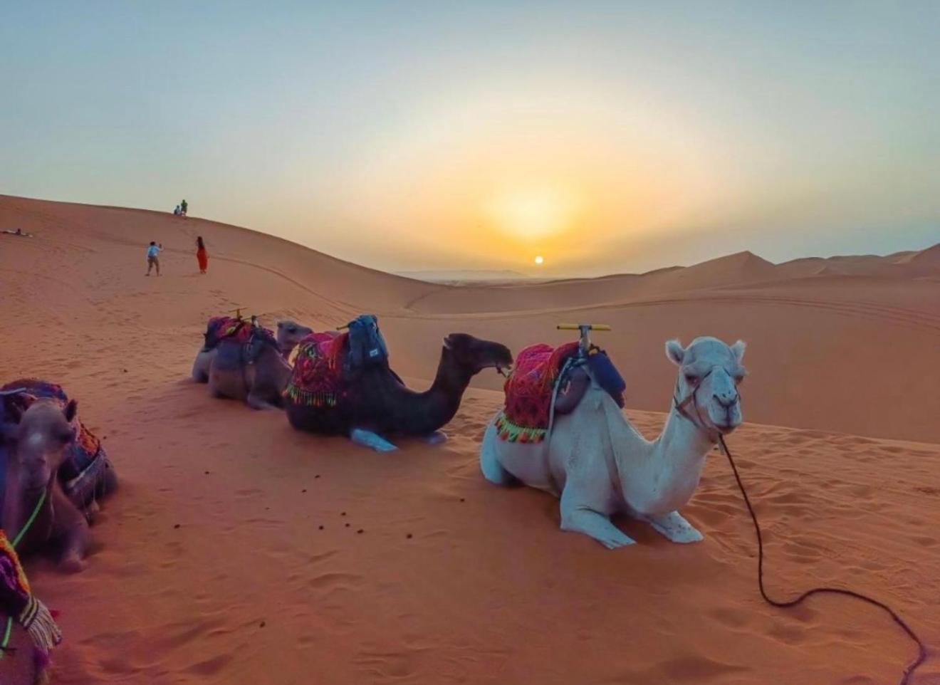 Merzouga Lovely Luxury Camp Екстер'єр фото